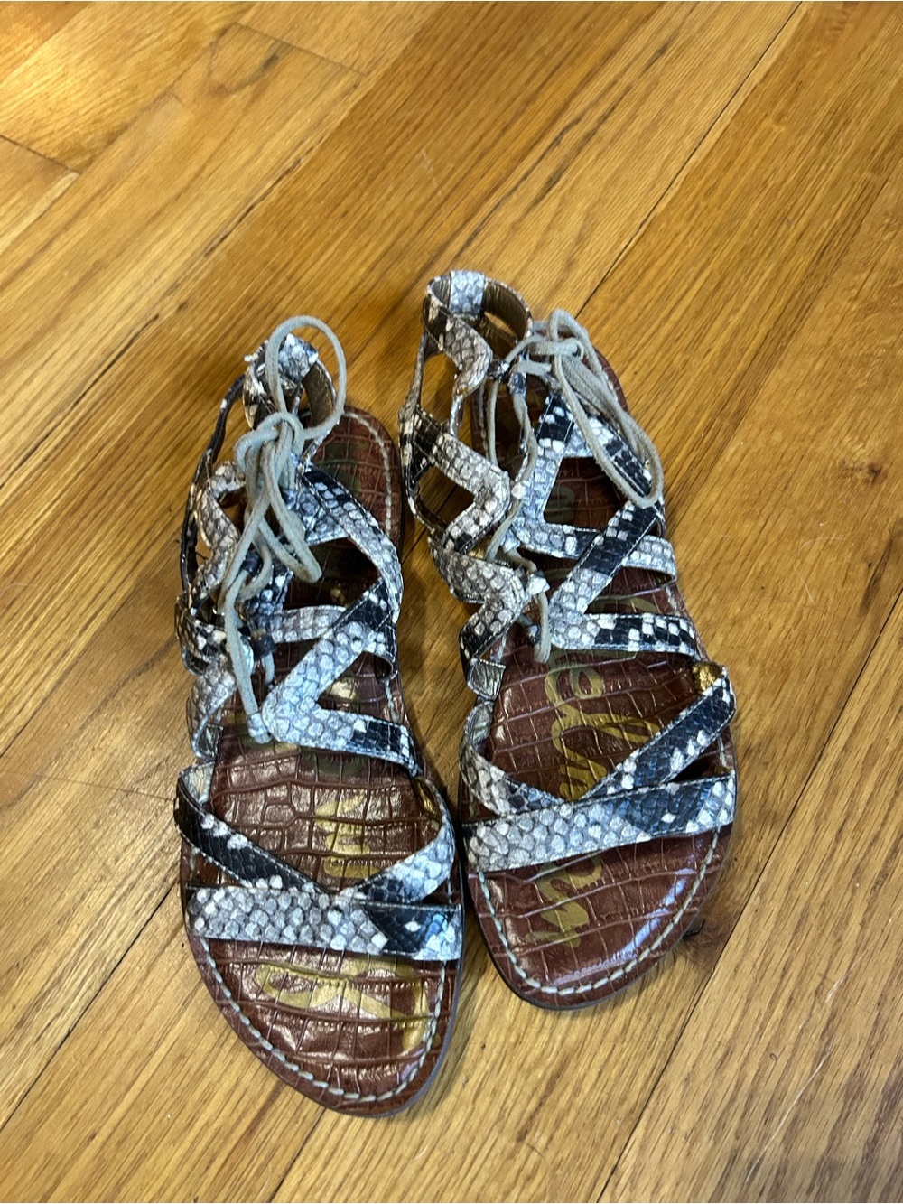 Sam Edelman Women's Gemma Roccia Baja Snake Leather Gladiators Sandals  Sz 8